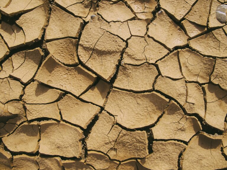 La próxima pandemia se acerca: ¿Cómo afectará la sequía a Chile para 2050?