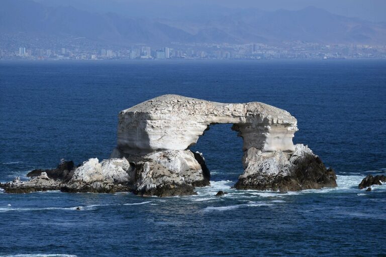 Conoce quiénes son los candidatos a senadores en la región de Antofagasta