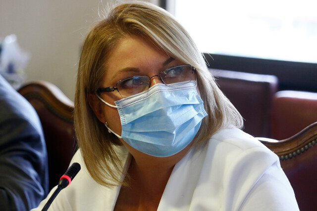 Diputada Parra y conflicto en la zona sur: “No se agotaron todas las opciones antes de recurrir al Estado de Excepción”