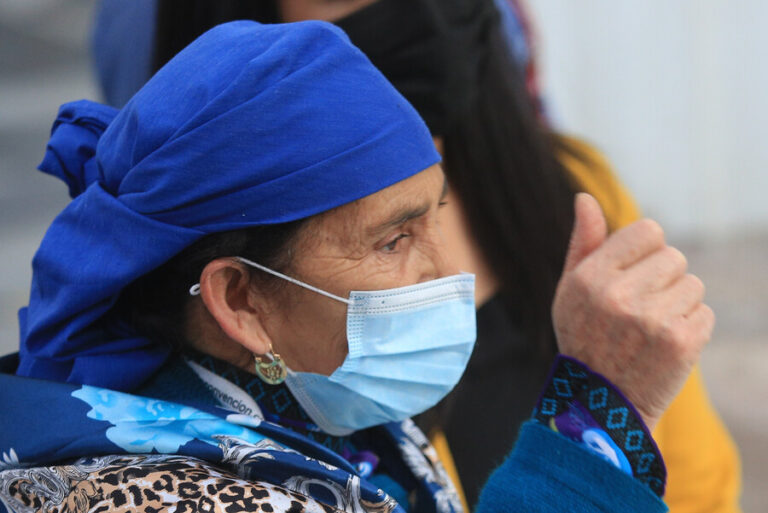 Linconao pide que también se presente el choique purrún durante visita al Biobío: 