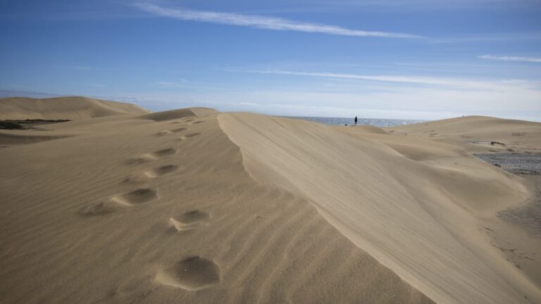 Turistas que tienen sexo en las dunas están arruinando una reserva natural