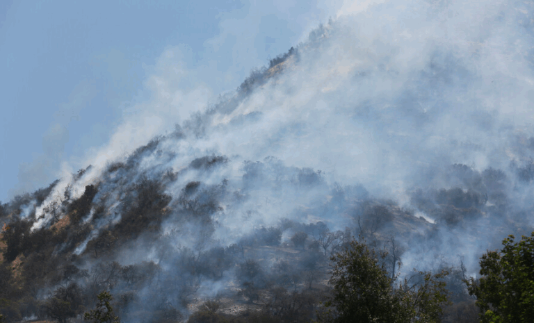 Tras seis horas logró ser controlado: Incendio forestal en Cerro Manquehuito consumió cinco hectáreas