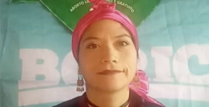 Diputada electa Ericka Ñanco: 