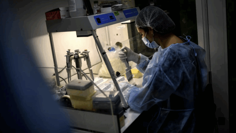 COVID-19: Reino Unido y Alemania confirman primeros casos de la variante Ómicron