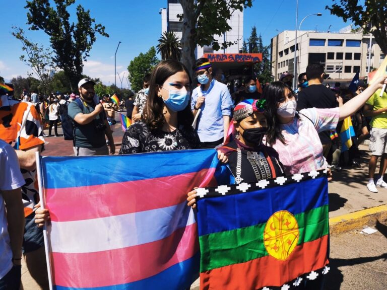Elisa Loncon y su intervención en la Marcha del Orgullo: 