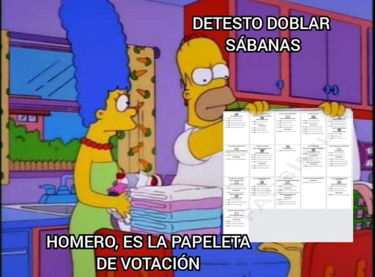 Un clásico: Los memes que dejó la jornada electoral