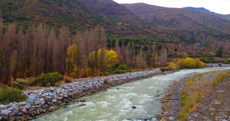 Inicia proceso de reorganización: Alto Maipo se acoge a Capítulo 11 de Ley de Quiebras en Estados Unidos
