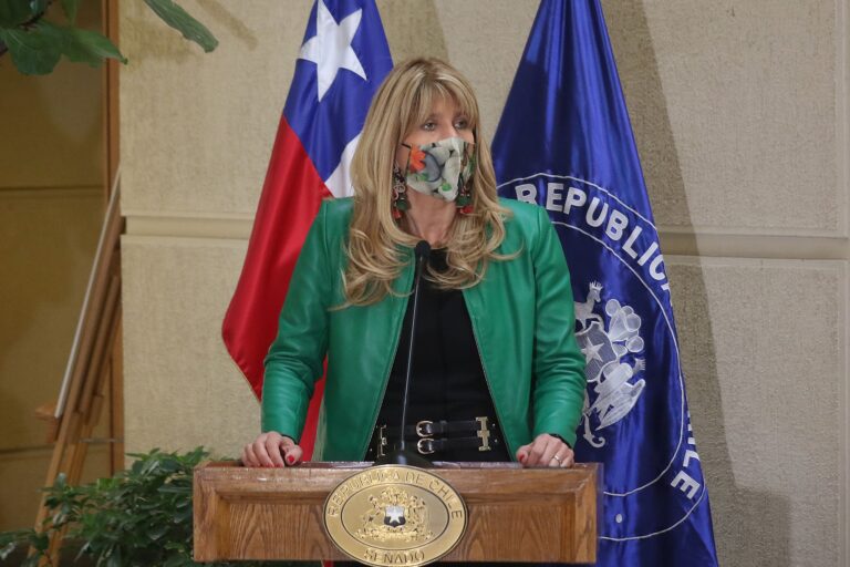Presidenta del Senado se ofreció como mediadora para generar diálogos en la macrozona sur