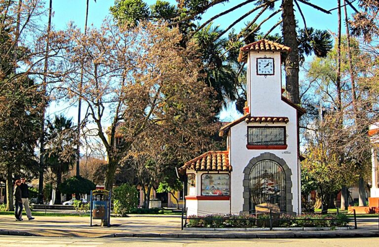 Distrito 16: Conoce los candidatos a diputados y diputadas por la Región de O'Higgins