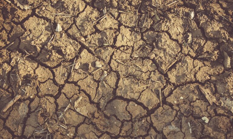 Migrantes climáticos: Sequía en Somalia obliga a 100 mil personas a desplazarse de sus hogares