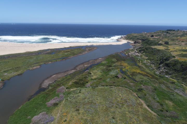 Diputado Celis solicita al presidente declarar el 100% del Humedal de Tunquén como Santuario de la Naturaleza