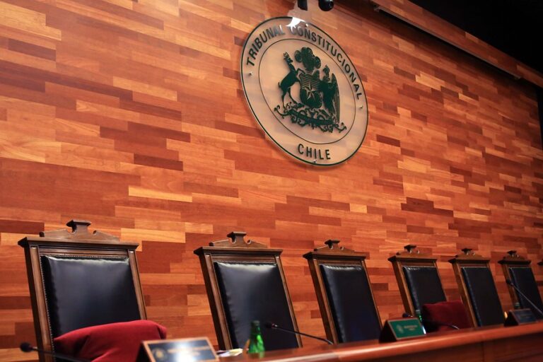 TC declaró inadmisible requerimiento que buscaba calificar como inconstitucional a la CAM y otras 3 agrupaciones