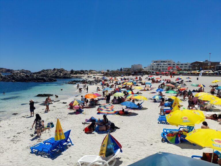 Por un Verano sin COVID: Autoridades presentaron plan que busca disminuir el riesgo de contagio en la temporada estival