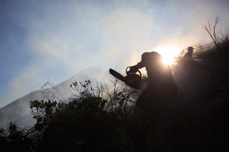 ONEMI declaró evacuación preventiva en sectores de Los Sauces y Angol por incendio forestal