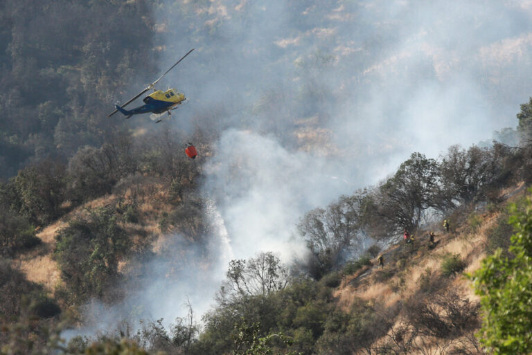 Decretan evacuación preventiva en un sector de Quillón por avance de incendio forestal