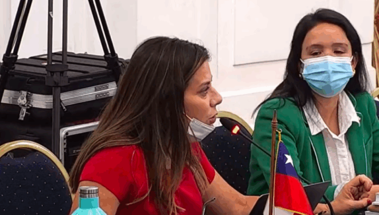 Convencional Vidal anunció denuncia contra Marinovic: 