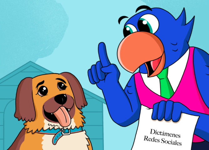 Contralorito advierte sobre uso de RRSS y Brownie responde: 