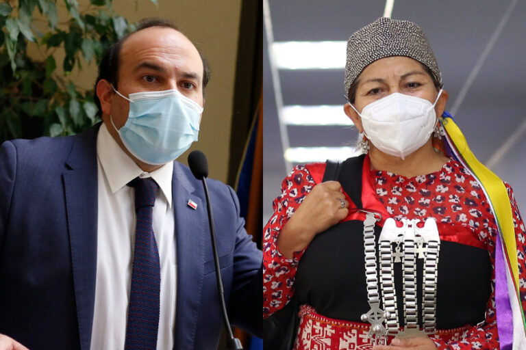 Tras dichos de Loncón: Gobierno asegura que 