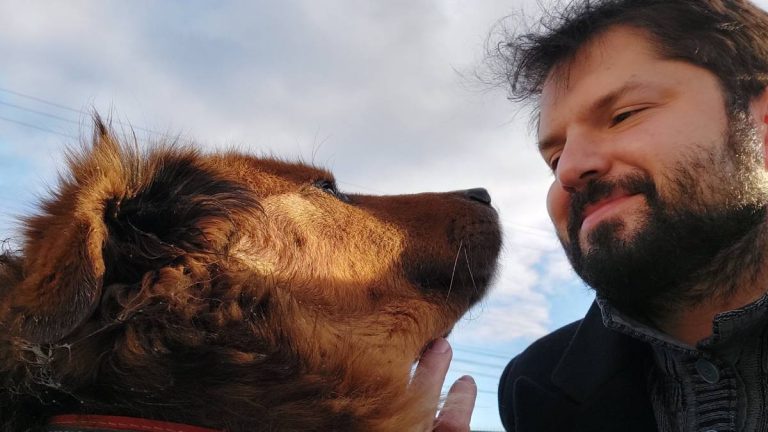 Boric destaca protagonismo de Brownie y confirma que pasará la Navidad en Santiago