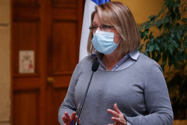 Diputada Parra aseguró que el proyecto para vender gas más barato 