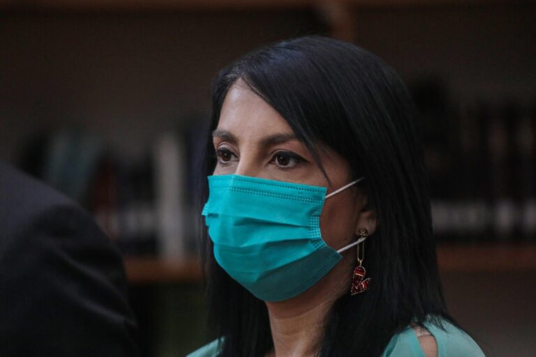 “No parece el camino correcto”: Rubilar cuestiona que Boric retire Desarrollo Social del comité político