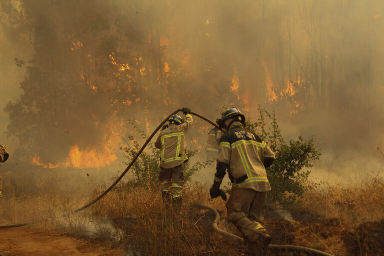 Cancelan alerta roja en Quillón tras incendio forestal que consumió más de 2 mil hectáreas de vegetación
