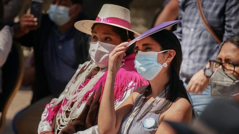 Pese a dificultades: Convención Constitucional dio inicio a la Consulta Indígena
