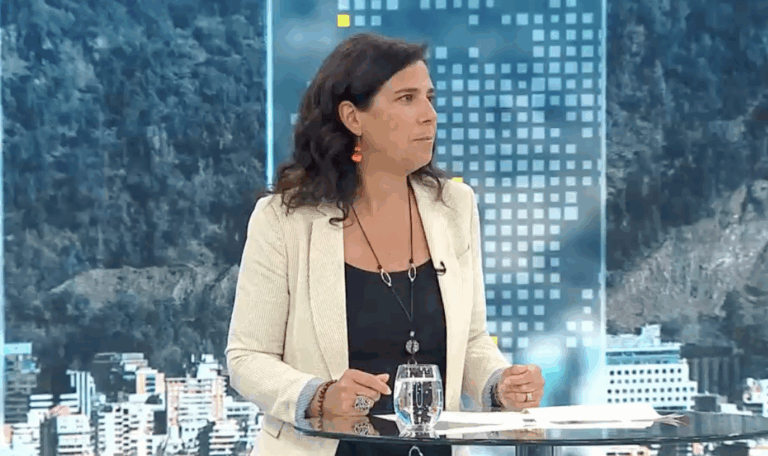 Dir. nacional de Sernatur proyectó que 
