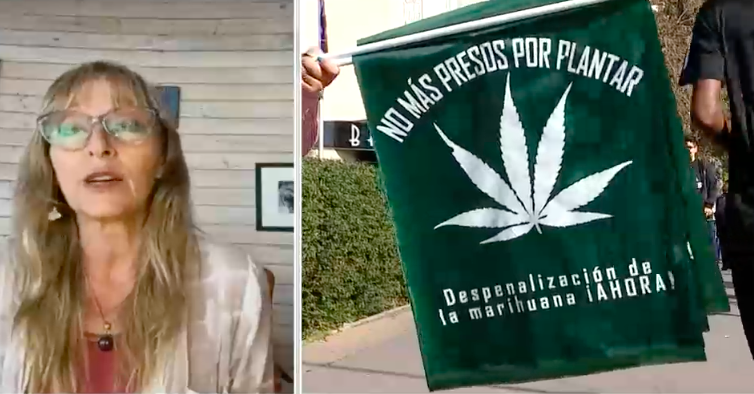 Ana María Gazmuri por idea de cannabis en la CC: 