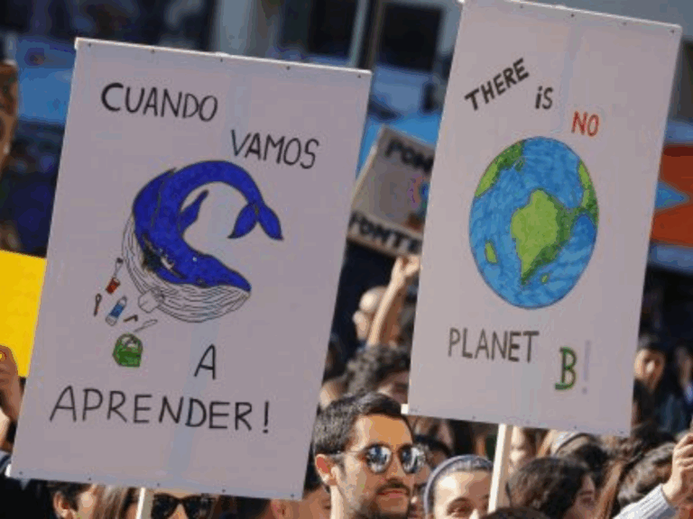 Medio Ambiente y nueva Constitución: ¿Cuáles son las iniciativas populares de norma más votadas por la ciudadanía?