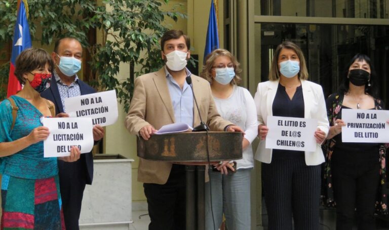Bancada PPD presenta recurso de protección para suspender licitación del litio