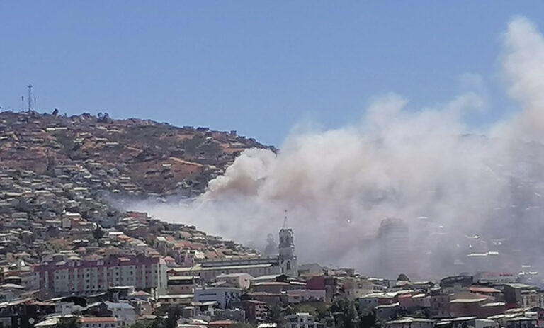 Conaf informa que incendio en Cerro Jiménez de Valparaíso fue controlado: Afectó 0,2 hectáreas