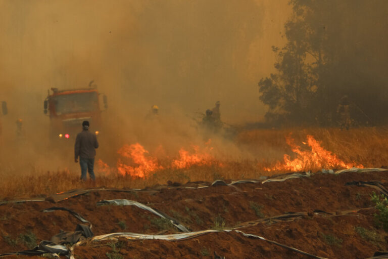 Más de 14 mil hectáreas consumidas: Conaf reporta 15 incendios forestales activos en el país
