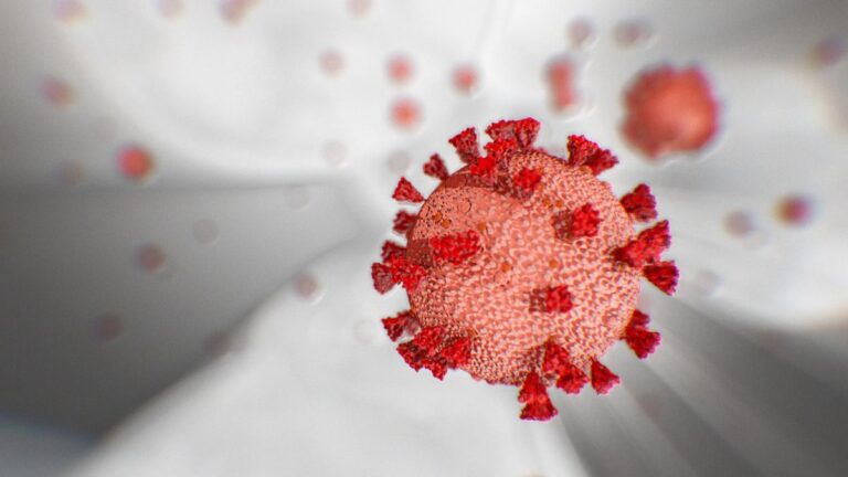 Francia identifica nueva variante de COVID-19: Estaría asociada con un posible aumento en la transmisión del virus