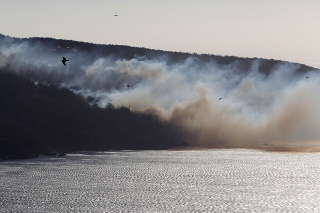Al menos 33 incendios forestales se encuentran activos a nivel nacional