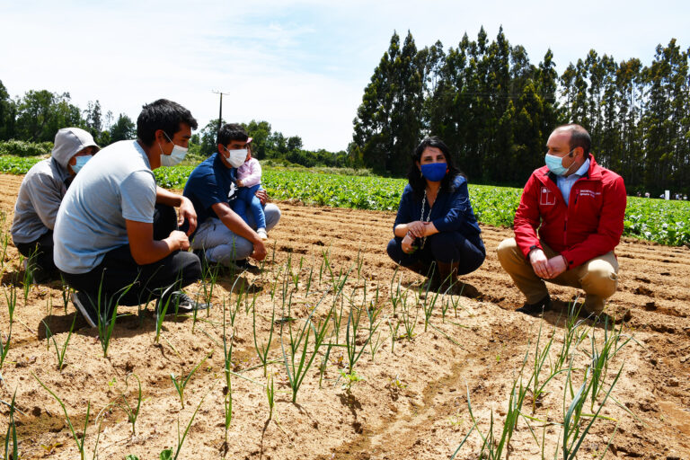 Ministerio de Desarrollo Social abordó observaciones de Contraloría ante licitación de catastro de tierras indígenas