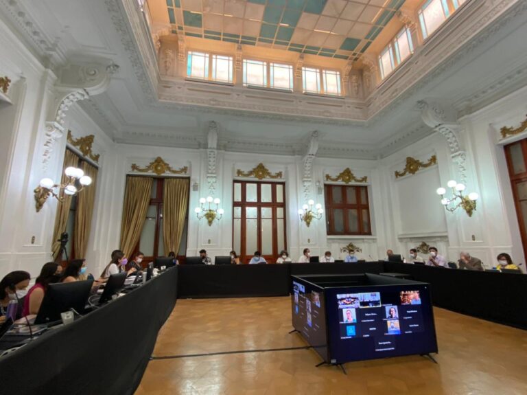 Estado regional, plurinacional e intercultural: Comisión de Forma de Estado de la CC aprueba en particular su 1er artículo