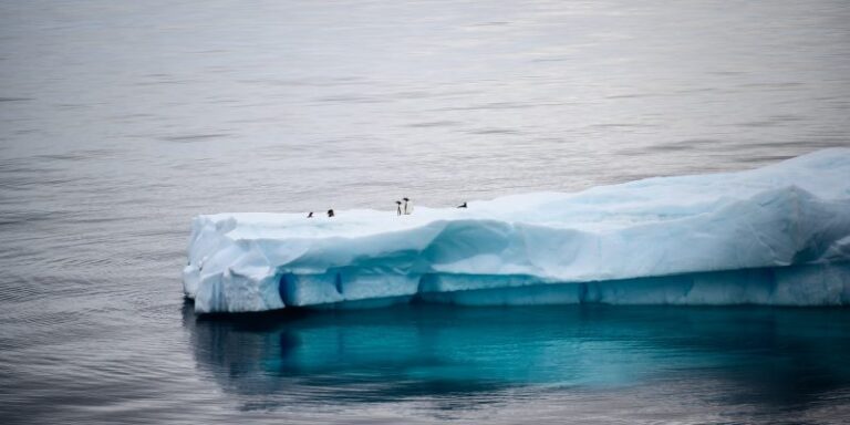 Nuevo récord de temperaturas en la Antártica reafirma la importancia de un monitoreo continuo