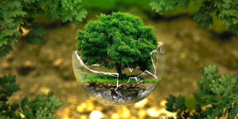 Proyecto de Ley para la Naturaleza es aprobado por unanimidad en el Senado: Crea el Servicio de Biodiversidad y Áreas Protegidas