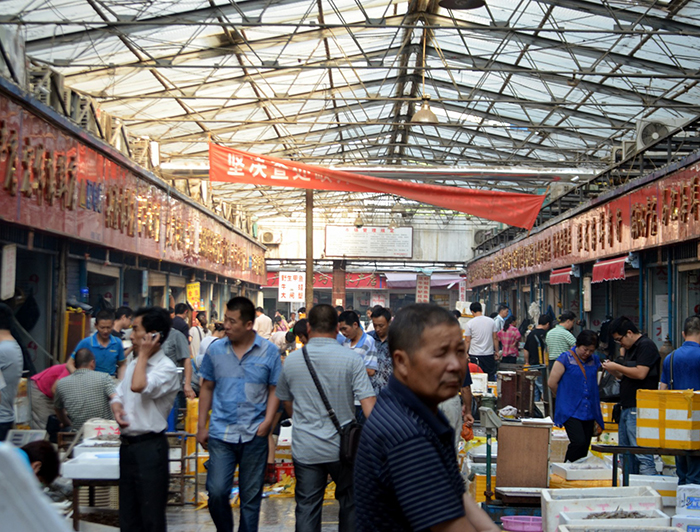 Estudios entregan más evidencia de que la pandemia del COVID-19 se propagó desde el mercado de Wuhan