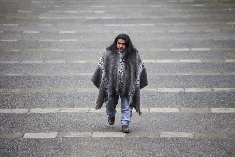 Lonko de Temucuicui: 