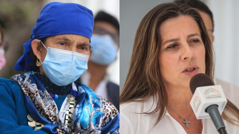 Machi Linconao en la CC: 
