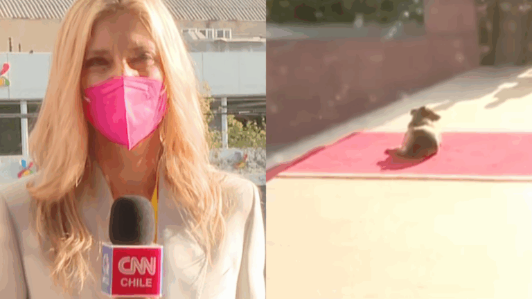 El anecdótico momento de Mónica Rincón en el Congreso: 