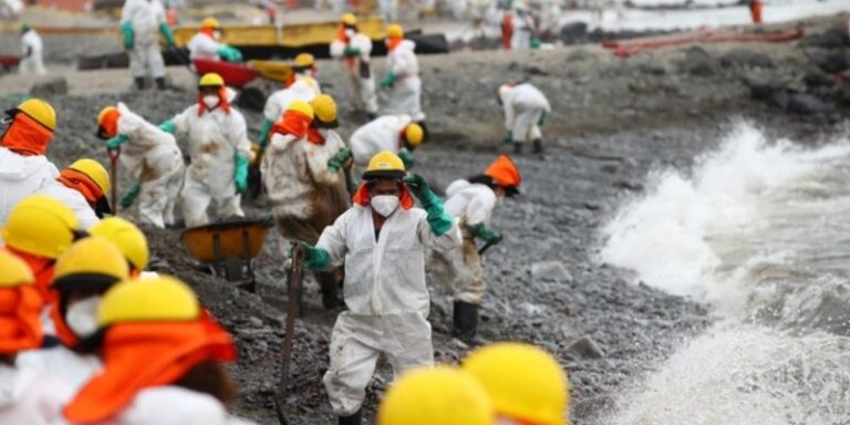 “Queremos que el ecosistema se repare ahora”: Las consecuencias del derrame de petróleo en la costa central de Perú