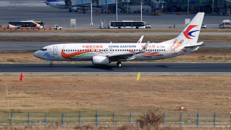 No se encontraron sobrevivientes tras el peor desastre aéreo de China en más de una década