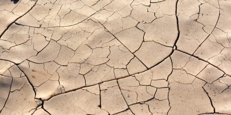 Las actividades económicas estarían relacionadas a la sequía hídrica de la región de Coquimbo