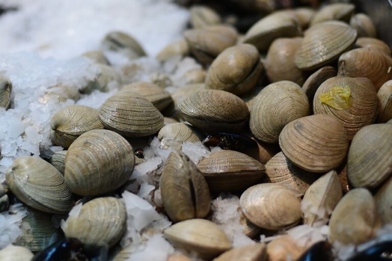 Niño de 3 años falleció tras consumir mariscos con marea roja en Puerto Montt