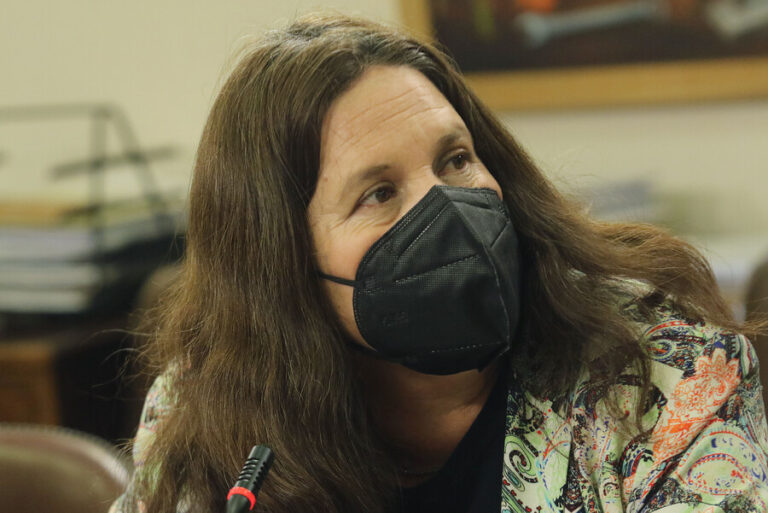 Ministra Fernández: 