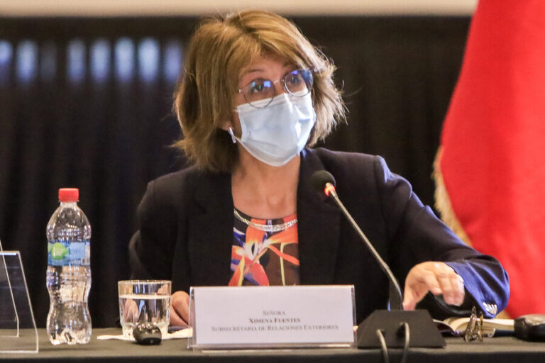 Ximena Fuentes y alegatos de Bolivia ante La Haya: 