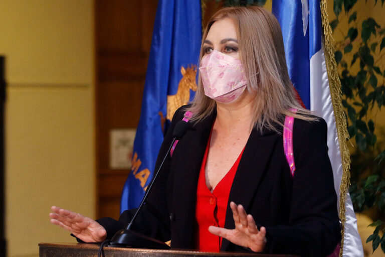 Pamela Jiles sobre proyecto alternativo al quinto retiro: 